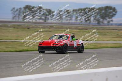 media/Mar-30-2025-Speed Ventures (Sun) [[39e6b1441d]]/Purple/Front Straight/